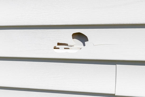 Storm Damage Siding Repair in Garden View, PA